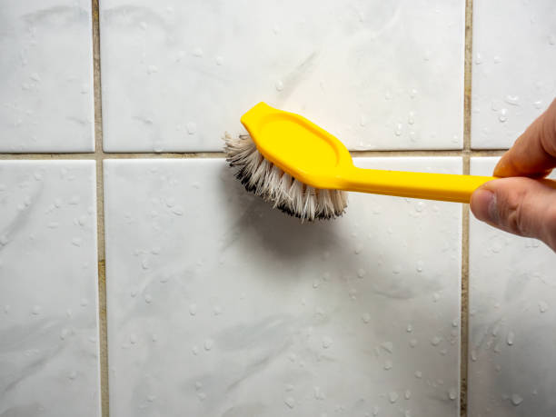Best Certified Mold Removal  in Robbins, NC