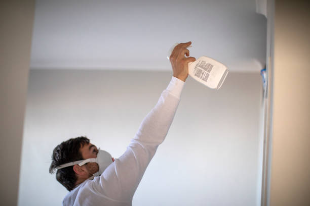 Best Mold Testing  in Robbins, NC
