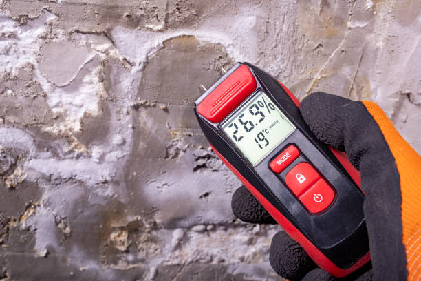 Best Mold Remediation  in Robbins, NC