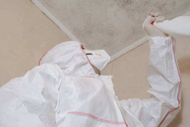 Best Residential Mold Removal  in Robbins, NC