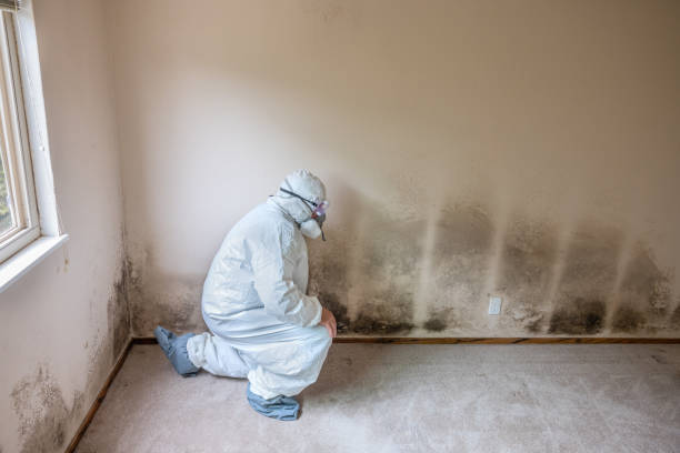 Water Damage Restoration in Robbins, NC