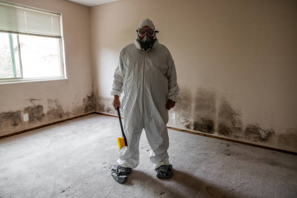 Best Affordable Mold Removal  in Robbins, NC