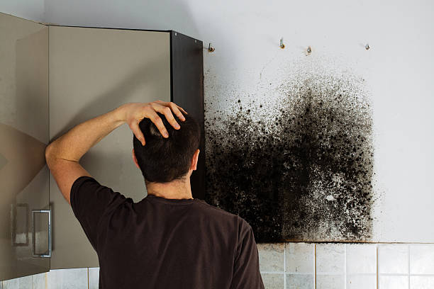 Best Water Damage Restoration  in Robbins, NC